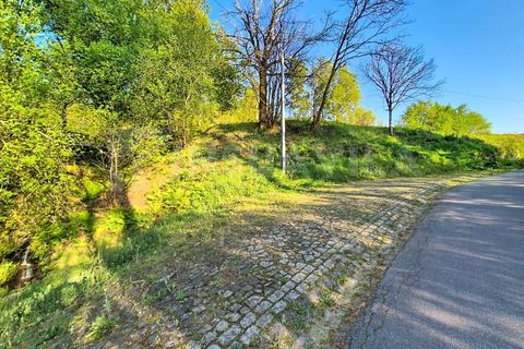 Helårsgrund i Gandra e Taiao, Viana do Castelo, Gandra e Taiao - € 295.000 | Ref: 2801 - foto 9