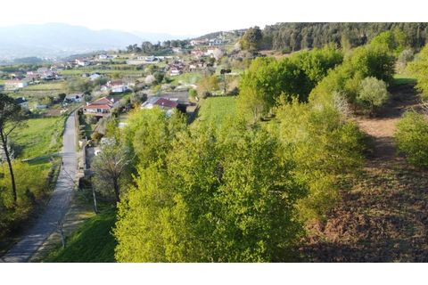 Helårsgrund i Gandra e Taiao, Viana do Castelo, Gandra e Taiao - € 295.000 | Ref: 2801 - foto 11