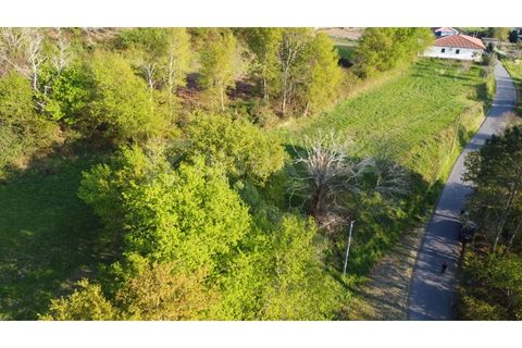 Helårsgrund i Gandra e Taiao, Viana do Castelo, Gandra e Taiao - € 295.000 | Ref: 2801 - foto 12