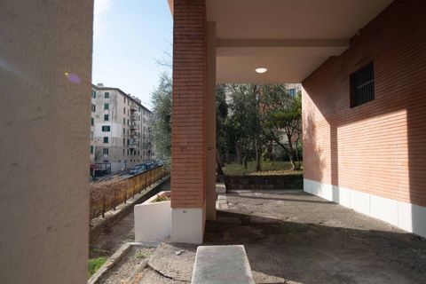 Leilighet i Trieste, Trieste, Trieste - € 210 000 | Ref: Campi Elisi - Nuda Proprietà - foto 22