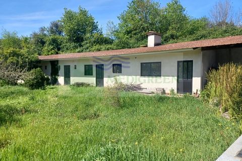Villa i Sever do Vouga, Aveiro, Sever do Vouga - € 360.000 | Ref: CAS_1813 - foto 30