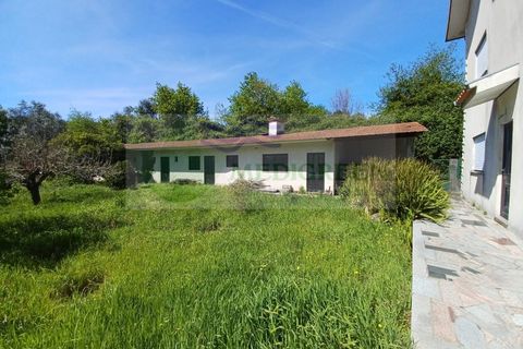 Villa i Sever do Vouga, Aveiro, Sever do Vouga - € 360.000 | Ref: CAS_1813 - foto 34