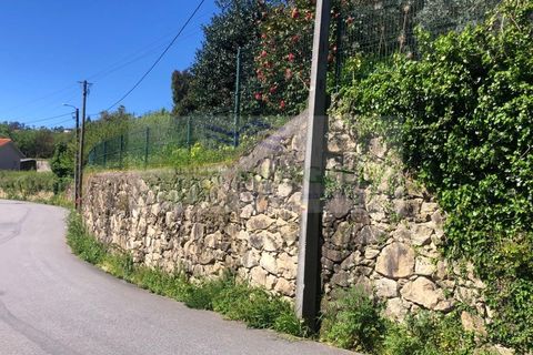 Villa i Sever do Vouga, Aveiro, Sever do Vouga - € 360.000 | Ref: CAS_1813 - foto 48