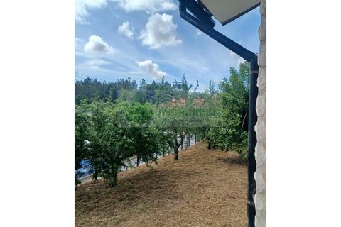 Villa i Sever do Vouga, Aveiro, Sever do Vouga - € 360.000 | Ref: CAS_1813 - foto 42