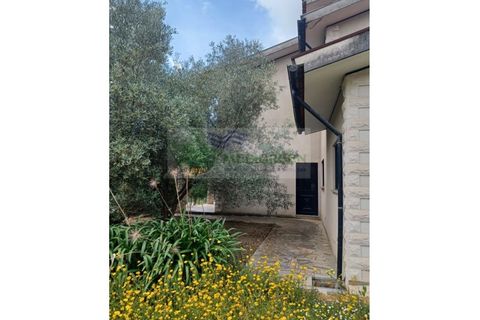 Villa i Sever do Vouga, Aveiro, Sever do Vouga - € 360.000 | Ref: CAS_1813 - foto 45