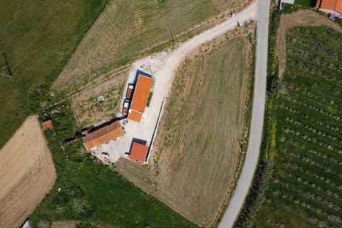Villa a Nazare, Leiria, Nazare - € 275.000 | Ref: CAS_865 - foto 25