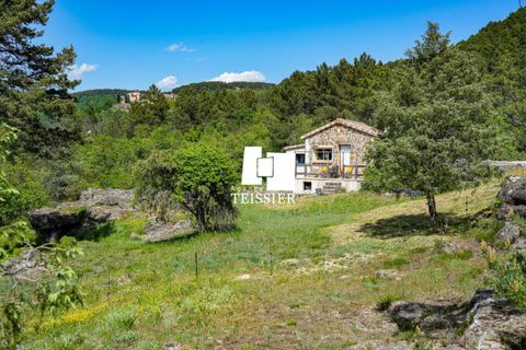 Villa i Chambonas, Ardeche, Chambonas - € 215.000 | Ref: 6501-TEISSIERLESVANS07 - foto 3