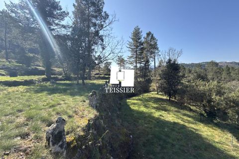 Villa i Chambonas, Ardeche, Chambonas - € 215.000 | Ref: 6501-TEISSIERLESVANS07 - foto 9