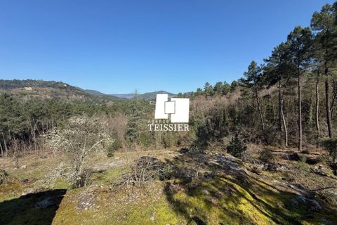 Villa i Chambonas, Ardeche, Chambonas - € 215.000 | Ref: 6501-TEISSIERLESVANS07 - foto 11