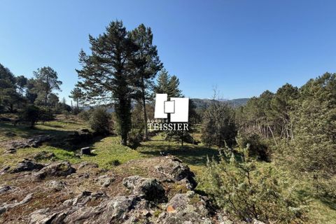 Villa i Chambonas, Ardeche, Chambonas - € 215.000 | Ref: 6501-TEISSIERLESVANS07 - foto 16