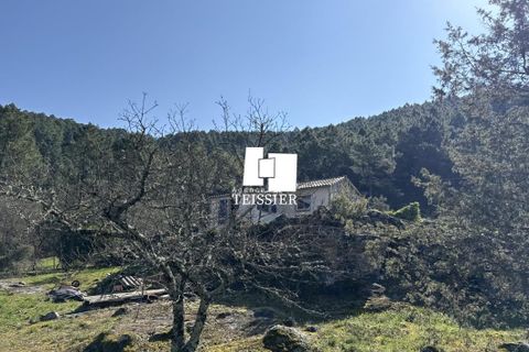 Villa i Chambonas, Ardeche, Chambonas - € 215.000 | Ref: 6501-TEISSIERLESVANS07 - foto 18