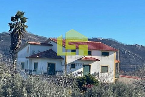 Byhus i Proenca-a-Nova, Castelo Branco, Proenca-a-Nova - € 165.000 | Ref: LT1467 - foto 19