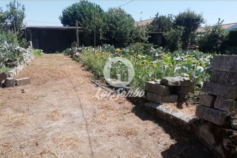 Helårsgrund i Vila do Conde, Porto, Vila do Conde - € 130.000 | Ref: 240-T-26206 - foto 1