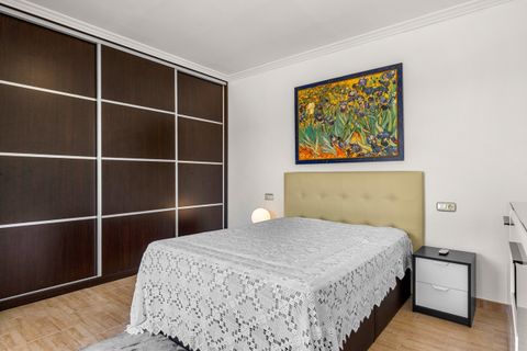 Finca i Elche, Alicante, Elche - € 599.000 | Ref: 775262 - foto 20