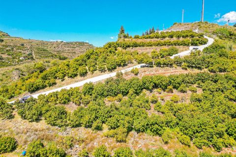 Villa a Vinuela, Malaga, Vinuela - € 420.000 | Ref: R5352664 - foto 3