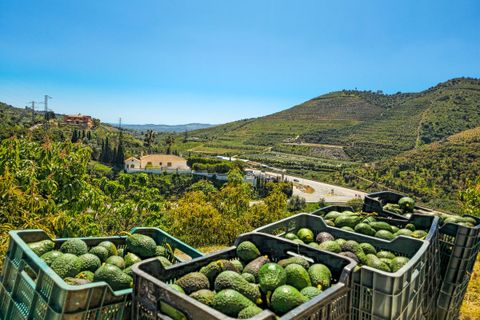 Villa a Vinuela, Malaga, Vinuela - € 420.000 | Ref: R5352664 - foto 4