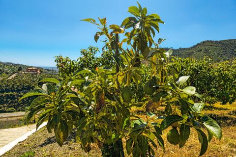 Villa a Vinuela, Malaga, Vinuela - € 420.000 | Ref: R5352664 - foto 40