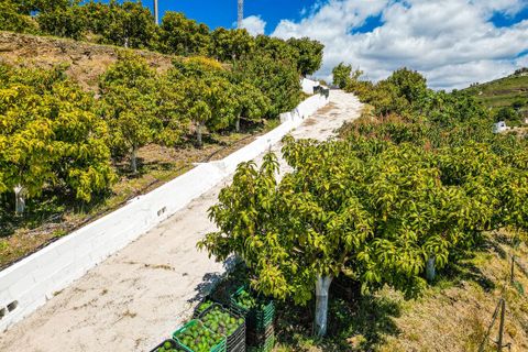 Villa a Vinuela, Malaga, Vinuela - € 420.000 | Ref: R5352664 - foto 45