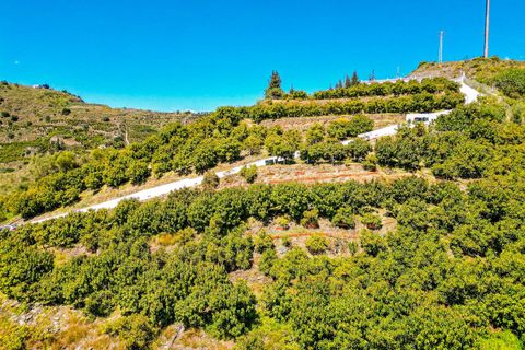 Villa a Vinuela, Malaga, Vinuela - € 420.000 | Ref: R5352664 - foto 50