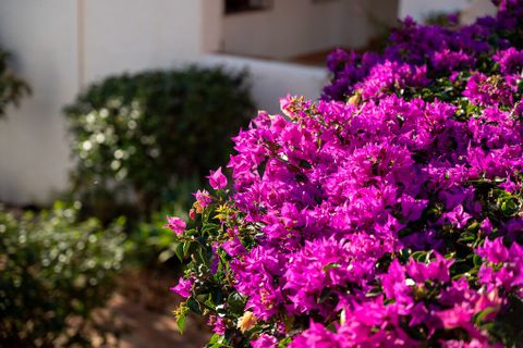 Lejlighed i Nerja, Malaga, Nerja - € 299.000 | Ref: MEO2612E - foto 17