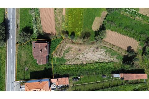 Villa a Ponte de Lima, Viana do Castelo, Ponte de Lima - € 155.000 | Ref: V449 - foto 10