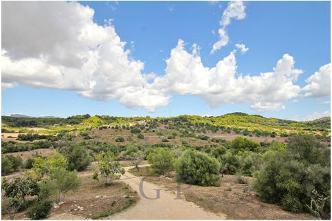 Herregård i Son Servera, Mallorca, Son Servera - € 1 980 000 | Ref: G&amp;amp;P_001355 - foto 24