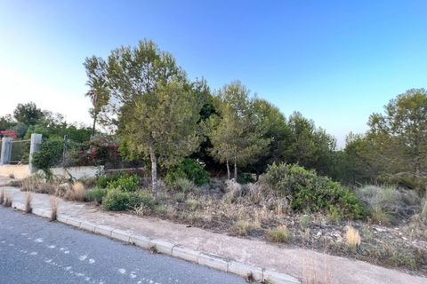 Terra a Benidorm, Alicante, Benidorm - € 550.000 | Ref: TGC-749 - foto 8