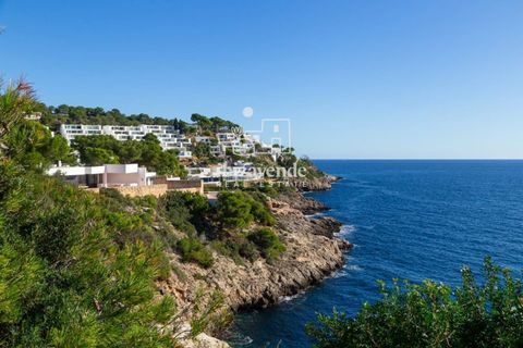 Finca i Roca Llisa, Ibiza, Roca Llisa - € 1 650 000 | Ref: 4672 - foto 10