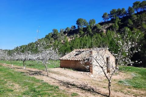 Finca i Ginestar, Tarragona, Ginestar - € 40.000 | Ref: 1015 Riscasa - foto 14