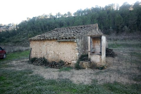 Finca i Ginestar, Tarragona, Ginestar - € 40.000 | Ref: 1015 Riscasa - foto 20