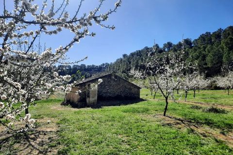 Finca i Ginestar, Tarragona, Ginestar - € 40.000 | Ref: 1015 Riscasa - foto 13
