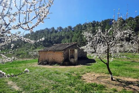 Finca i Ginestar, Tarragona, Ginestar - € 40.000 | Ref: 1015 Riscasa - foto 7