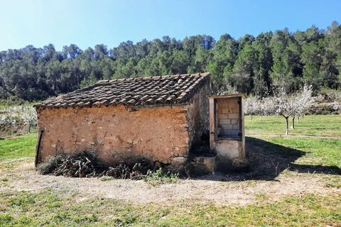 Finca i Ginestar, Tarragona, Ginestar - € 40.000 | Ref: 1015 Riscasa - foto 9