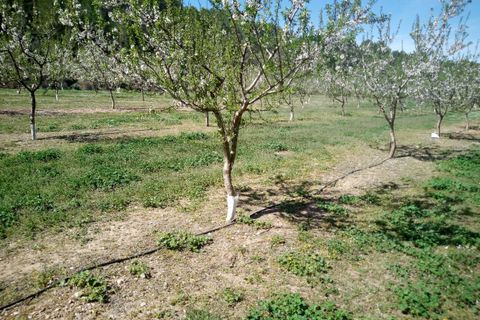 Finca i Ginestar, Tarragona, Ginestar - € 40.000 | Ref: 1015 Riscasa - foto 10