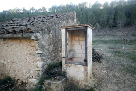 Finca i Ginestar, Tarragona, Ginestar - € 40.000 | Ref: 1015 Riscasa - foto 18