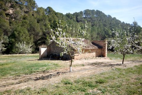Finca i Ginestar, Tarragona, Ginestar - € 40.000 | Ref: 1015 Riscasa - foto 15