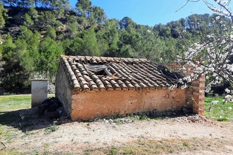 Finca i Ginestar, Tarragona, Ginestar - € 40.000 | Ref: 1015 Riscasa - foto 21