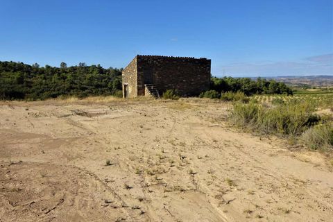 Finca i Caspe, Zaragoza, Caspe - € 20.000 | Ref: 1064 - foto 7