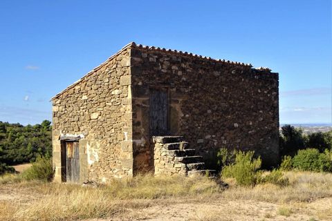 Finca i Caspe, Zaragoza, Caspe - € 20.000 | Ref: 1064 - foto 15