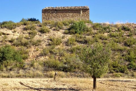 Finca i Caspe, Zaragoza, Caspe - € 20.000 | Ref: 1064 - foto 20