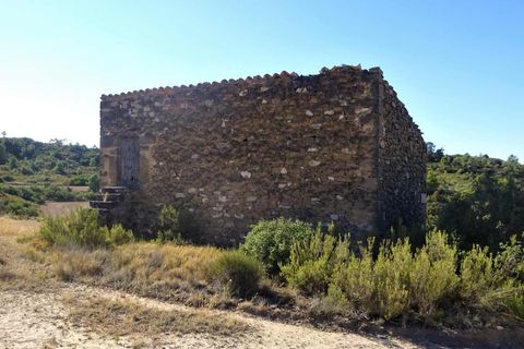 Finca i Caspe, Zaragoza, Caspe - € 20.000 | Ref: 1064 - foto 17