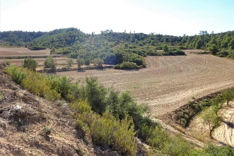 Finca i Caspe, Zaragoza, Caspe - € 20.000 | Ref: 1064 - foto 9