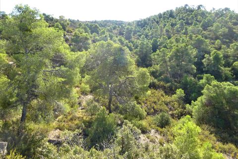 Finca i Caspe, Zaragoza, Caspe - € 20.000 | Ref: 1064 - foto 6