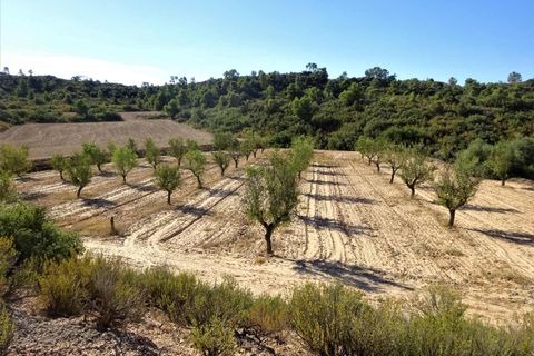 Finca i Caspe, Zaragoza, Caspe - € 20.000 | Ref: 1064 - foto 18