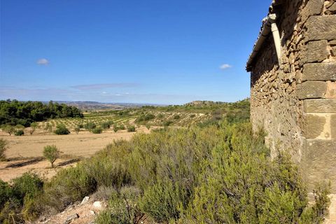 Finca i Caspe, Zaragoza, Caspe - € 20.000 | Ref: 1064 - foto 8