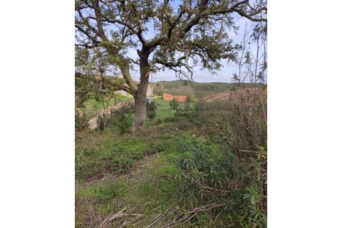 Helårsgrund i Silves, Faro, Silves - € 99.000 | Ref: SÒL_453 - foto 3
