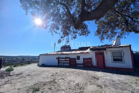Helårsgrund i Evora, Evora, Evora - € 650.000 | Ref: TER_2179.JBC.d - foto 8