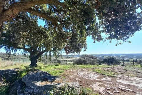 Helårsgrund i Evora, Evora, Evora - € 650.000 | Ref: TER_2179.JBC.d - foto 11