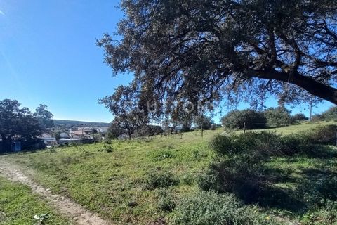 Helårsgrund i Evora, Evora, Evora - € 650.000 | Ref: TER_2179.JBC.d - foto 13