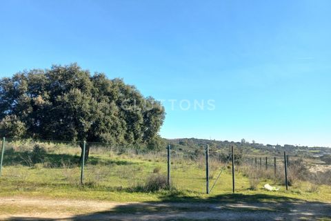 Helårsgrund i Evora, Evora, Evora - € 650.000 | Ref: TER_2179.JBC.d - foto 21
